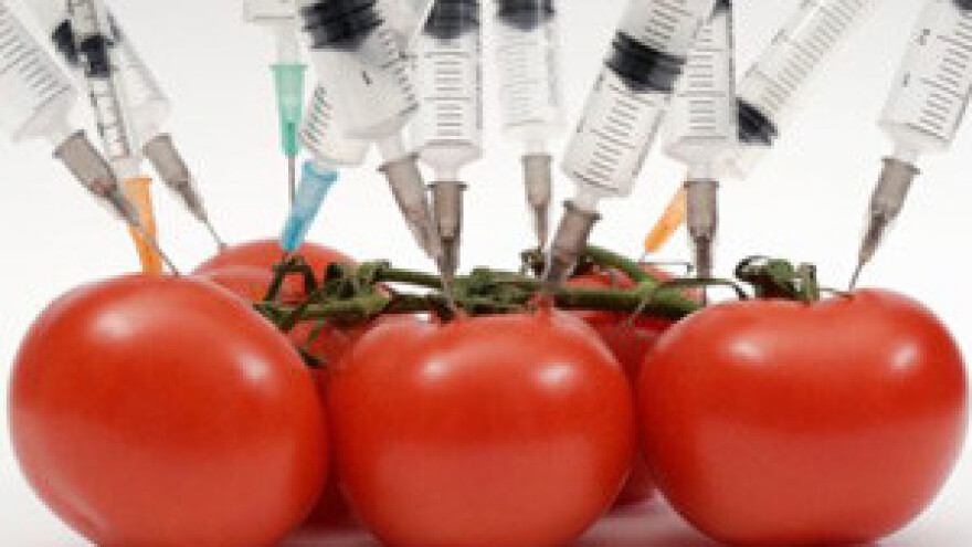 Hrvatska može profitirati od GMO zatucanosti EU-a