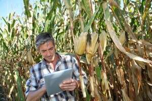 GMO ne doprinosi profitabilnosti proizvodnje!