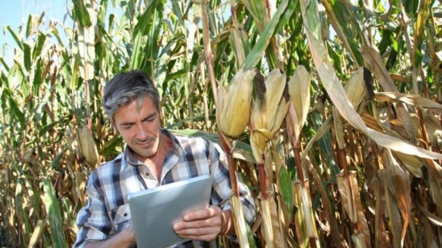 GMO ne doprinosi profitabilnosti proizvodnje!