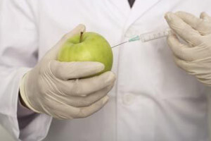 Velike agrokorporacije nameću genetički inženjering