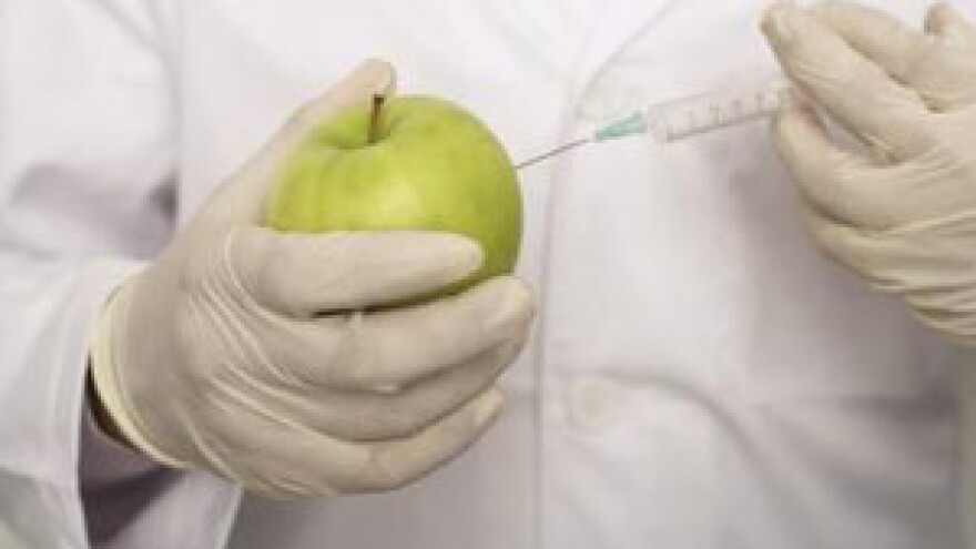 Velike agrokorporacije nameću genetički inženjering