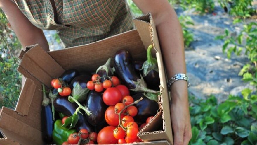 ORaH: Hrvatska mora postati GMO-free država!