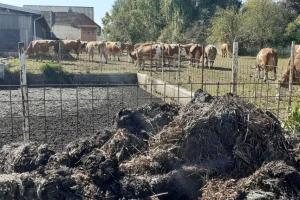 Stajski gnoj je pravo bogatstvo - to napokon svima postaje jasno