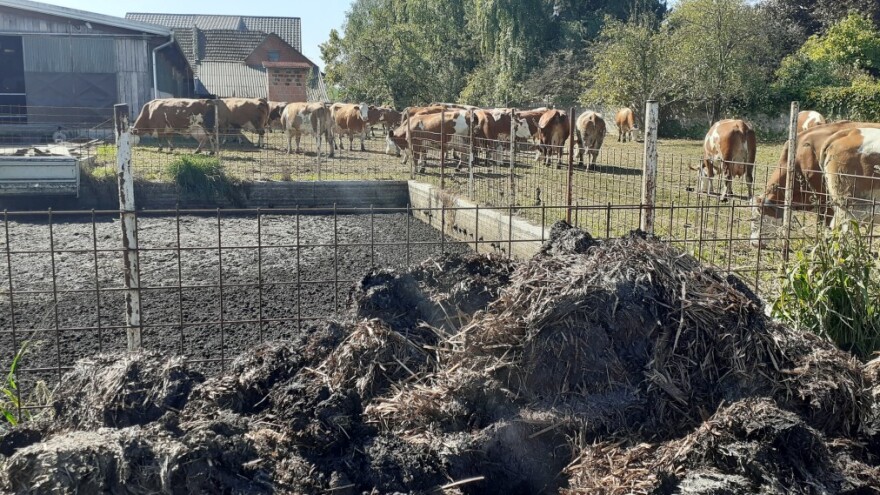 Stajski gnoj je pravo bogatstvo - to napokon svima postaje jasno