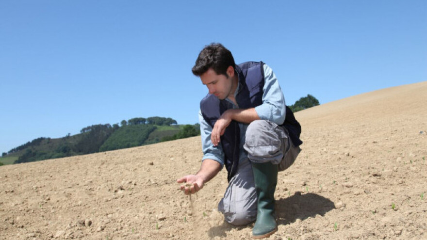 Ne gnojite "napamet", analizirajte tlo sami!