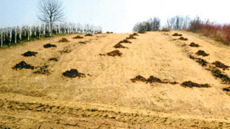 Gnojidba travnjaka organskim gnojivima
