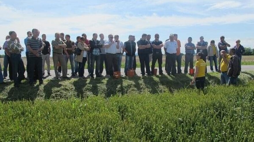 Početak ožujka idealan za prihranu usjeva