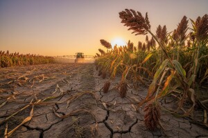 Gnojidba postrnih usjeva