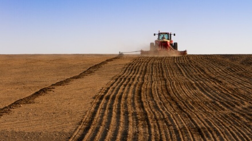 Predsjetvena gnojidba okopavina