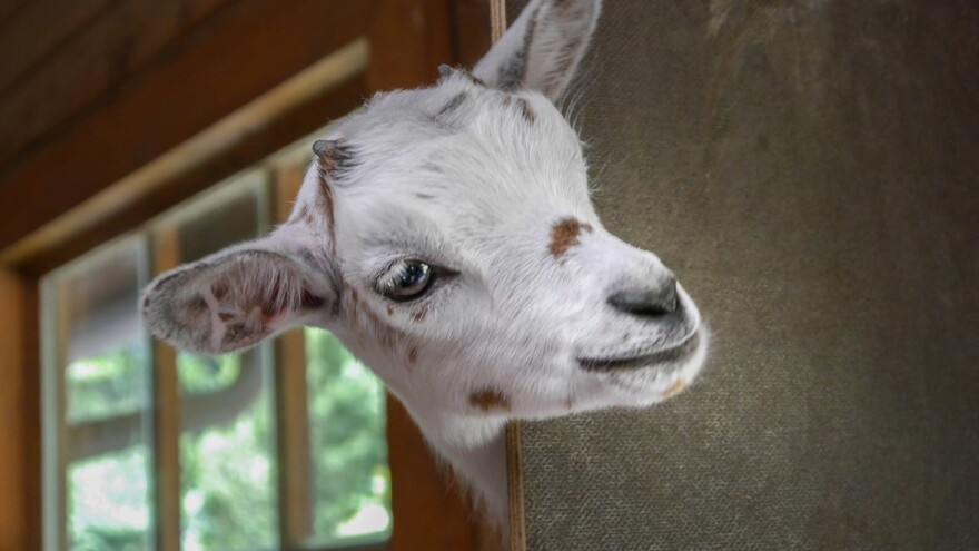 Novosti o IAKS mjerama u 2019. godini