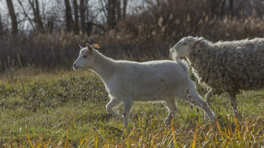 Pred nama je nestabilna i nadprosječno topla sedmica