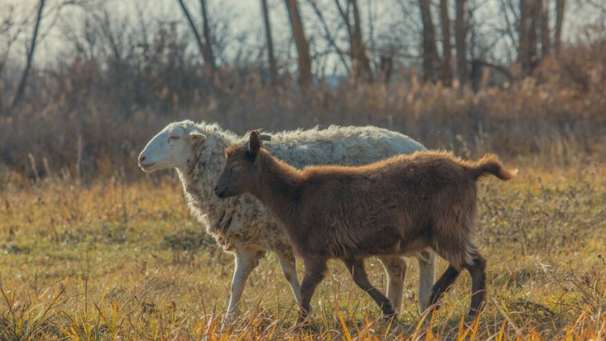 Usvojili program poticaja poljoprivrednoj proizvodnji