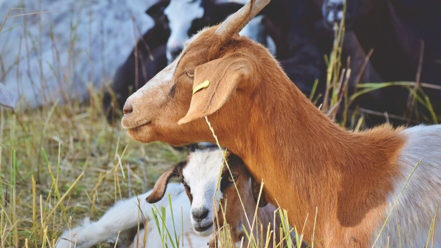 Narednih godina veća sredstva za poljoprivredu?
