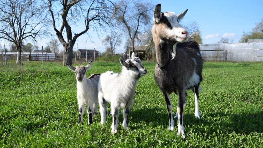 Hoćeš poticaj? Na vrijeme prijavi plan poljoprivredne proizvodnje