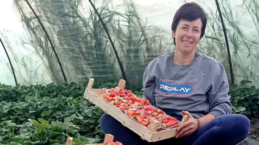 Jagode Gordane Glišić rađaju i u decembru