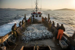 Godišnji izvoz tuna, inćuna i srdela od 160 milijuna dolara