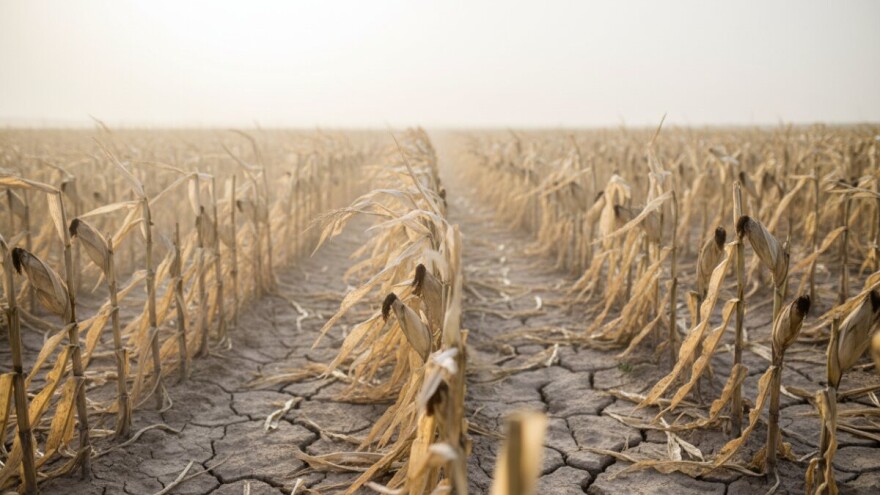 Goleme štete od suše, slijedi novi rast cijena