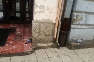 Od otrova po ulicama Osijeka ugibaju i golubovi?