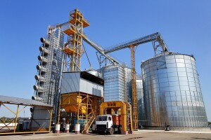 Rusija proizvodi sve više soje - 70% izvezu na strano tržište