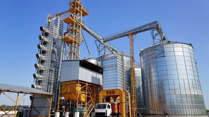 Rusija proizvodi sve više soje - 70% izvezu na strano tržište