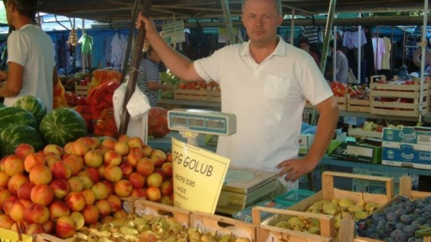 Je li ovo prvi smokvik u Slavoniji?