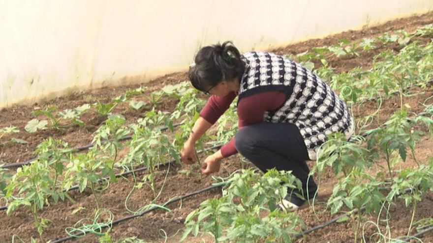 Golubinka Nenadović: Život na selu nikada ne bih menjala za život u gradu