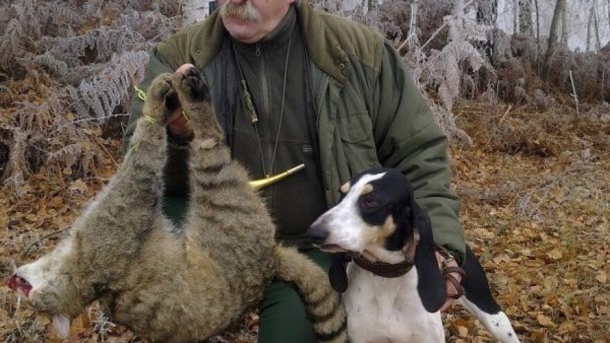 Ariješki gonič - ustrajan tragač u gorskim lovištima