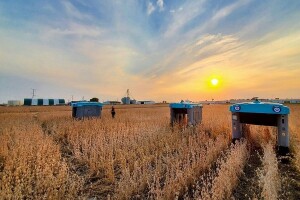 Google i poljoprivreda: Robot Mineral transformisati će način uzgoja hrane?