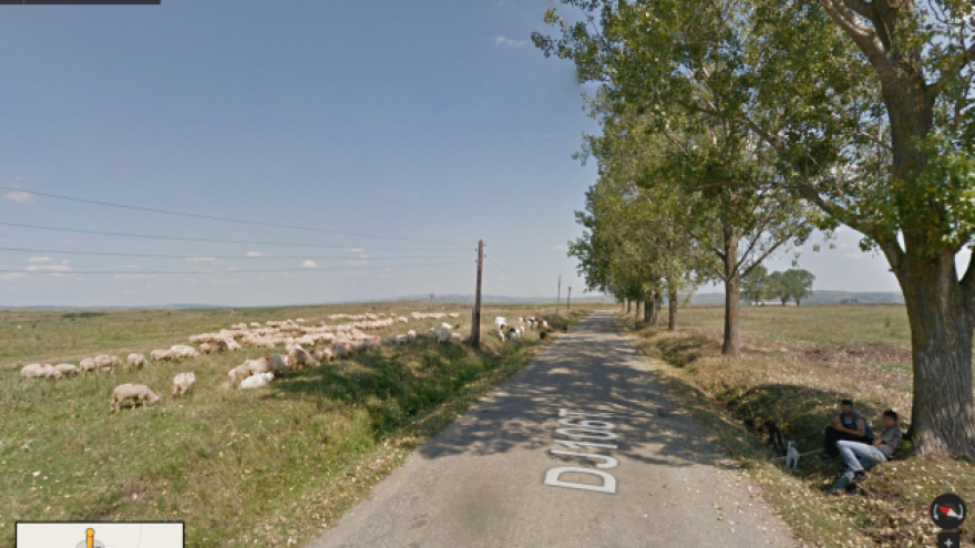 Pošalju ovce na pašu pa ih prate preko interneta