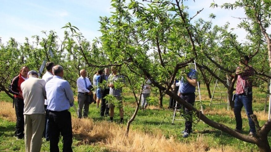 Dani održivog razvoja Gora u Gospiću