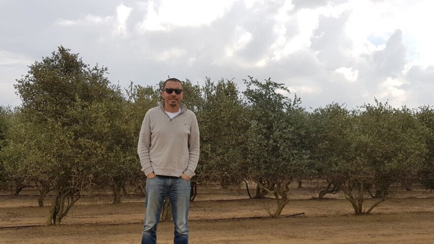 Beograđanin u Izraelu proizvodi jojobu