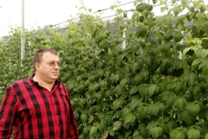 Udruženi entuzijasti Pocerine proizvode i suše voće