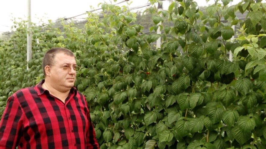 Udruženi entuzijasti Pocerine proizvode i suše voće