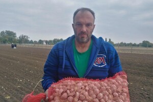 Goran iz Kikinde uspešno gaji beli luk: "Nikad ga nema dovoljno, a neophodan je u svakoj kuhinji"