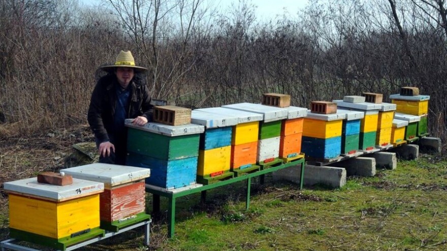 Goran ispunjava svoje snove o pčelarenju!