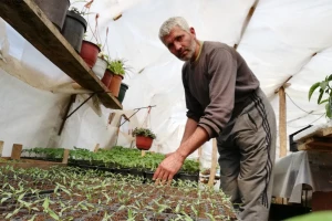 Prodaja poljoprivrednih proizvoda i preko portala koji je pokrenula PSSS Jagodina