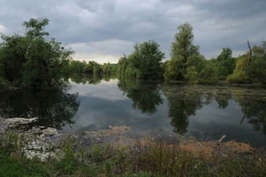 "Bačko Podunavlje" na svetskoj listi rezervata