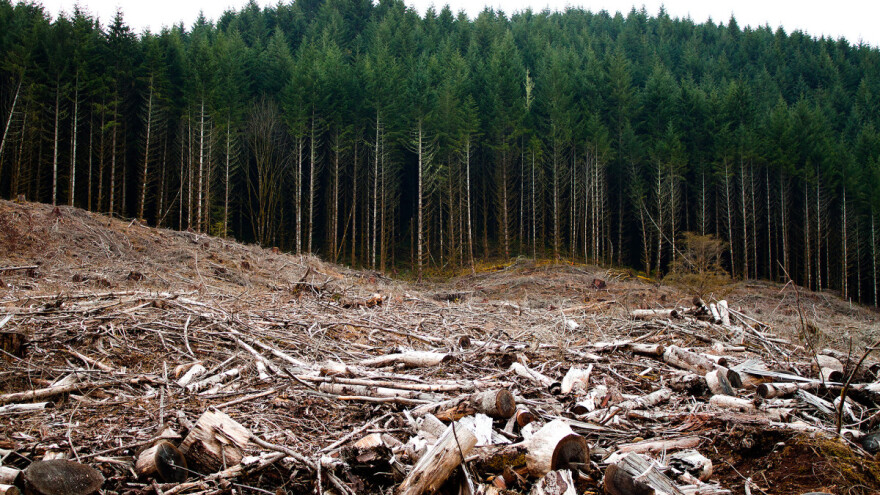 Hitno razmatrati Prijedlog zakona o šumama koji je u parlamentarnoj proceduri već godinu dana!