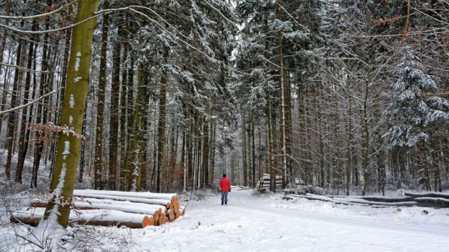 Predavanje o gospodarenju šumama u Lasinji