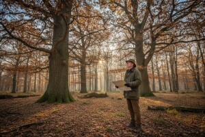 Gospodarenje šumama na području Slavonskog Broda