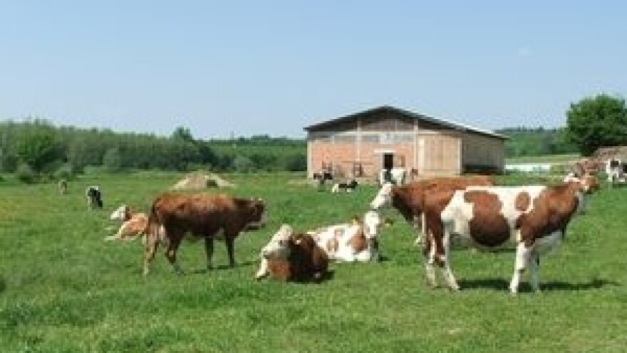 Legalizacija nezakonito izgrađenih objekata