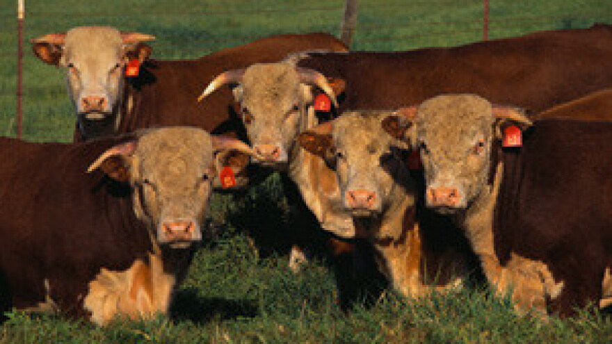 Ekostočarima država duguje lanjske poticaje