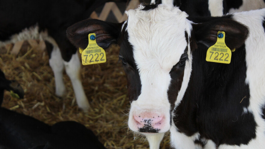 Iz pirotske kase 55,2 miliona dinara za subvencije poljoprivrednicima