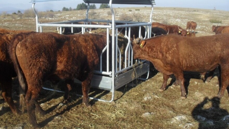 Trasira se model za izvoz hrvatske govedine u Tursku