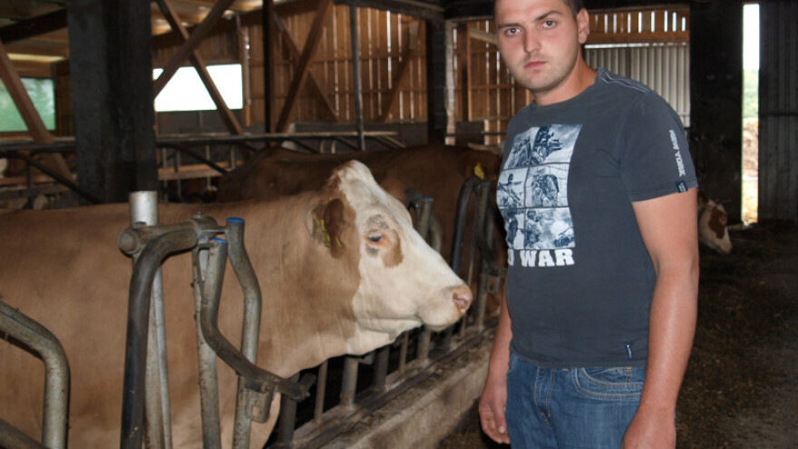 Najveći uspjeh uzgajatelja simentalca u povijesti Hrvatske!