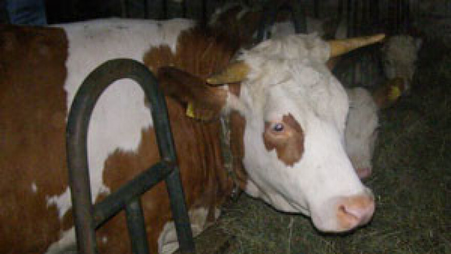 Skupština Središnjeg saveza hrvatskih uzgajivača simentalskog goveda