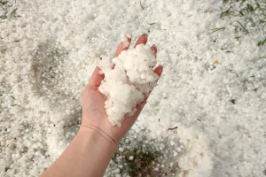 Za 10 minuta grad desetkovao letinu u zasadima voća i povrća