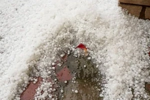 Pored Šumadije i Srema, grad pokosio useve i u Mačvi