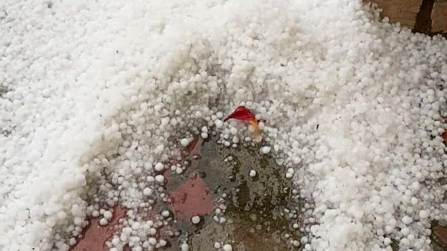 Pored Šumadije i Srema, grad pokosio useve i u Mačvi