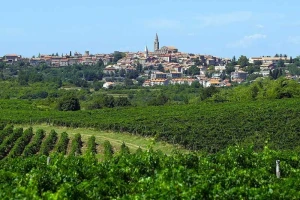 Prodaja državnog zemljišta u Istri